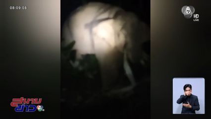 ปฏิบัติการสยบ พลายปีเตอร์