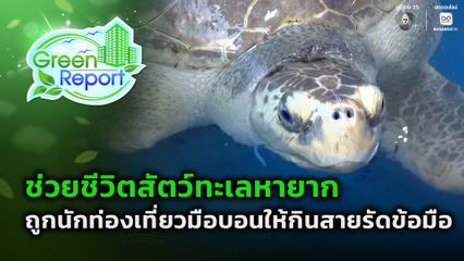 Green Report : ช่วยชีวิตสัตว์ทะเลหายาก