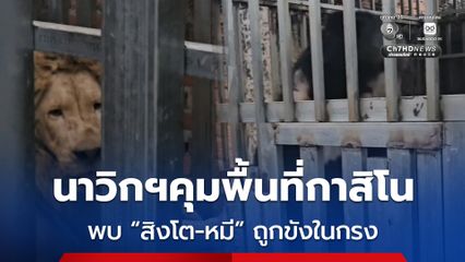 นาวิกโยธินเข้าควบคุมพื้นที่กาสิโน พบ “สิงโต-หมี” ถูกขังในกรง