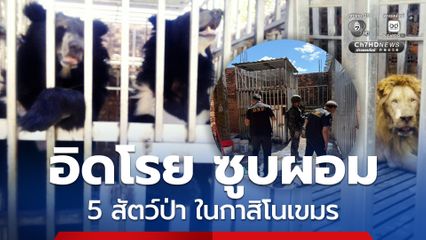 กรมอุทยานฯ รับตัวเร่งด่วน 5 สัตว์ป่า สภาพอิดโรย ถูกทิ้งในกาสิโนเขมร