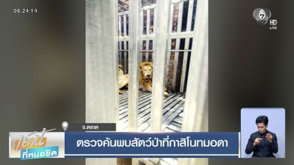 ตรวจค้นพบสัตว์ป่าที่กาสิโนทมอดา