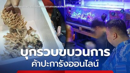 กรมทะเล สนธิกำลัง บก.ปทส. บุกรวบขบวนการค้าปะการังออนไลน์ ยึดของกลางกว่า 245 รายการ