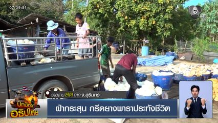 ฝ่ากระสุน กรีดยางพาราประทังชีวิต