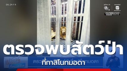 ตรวจค้นพบสัตว์ป่าที่กาสิโนทมอดา