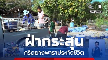 ฝ่ากระสุน กรีดยางพาราประทังชีวิต