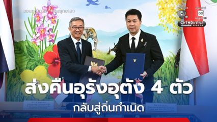 ไทย อินโดนีเซีย ฉลองโอกาสครบรอบ 75 ปี ความสัมพันธ์ทางการทูต ส่งคืนอุรังอุตัง 4 ตัว กลับสู่ถิ่นกำเนิด