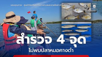 ศูนย์วิจัยทรัพยากรทางทะเลฯ สำรวจ 4 จุด ไม่พบปลาหมอคางดำ