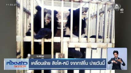 เคลื่อนย้าย สิงโต-หมี จากกาสิโน บ่ายวันนี้