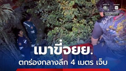 หนุ่มวัย 31 เมาขี่รถจยย. หลุดโค้งชนแบร์ริเออร์ขอบทาง ก่อนตกร่องกลางลึก 4 เมตร ได้รับบาดเจ็บ