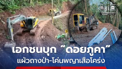 ปทส.บุกจับเอกชนรุกป่า “ดอยภูคา” โค่นพญาเสือโคร่ง–ใช้เครื่องจักรหนักแผ้วถางเปิดแนวป่า