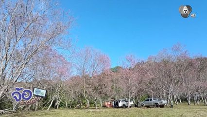 ภูลมโล เตรียมต้อนรับนักท่องเที่ยว