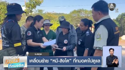 เคลื่อนย้าย หมี-สิงโต ที่ทมอดาไปดูแล