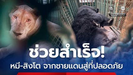 ช่วยสำเร็จ ส่ง หมี-สิงโต จากชายแดนสู่ที่ปลอดภัย