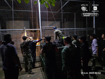 ช่วยสำเร็จ ส่ง หมี-สิงโต จากชายแดนสู่ที่ปลอดภัย