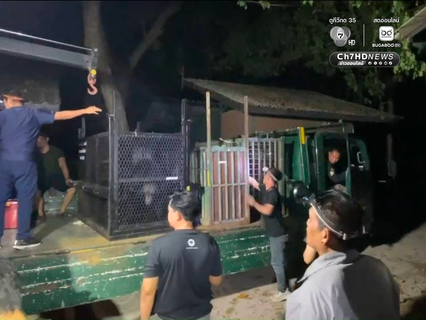 ช่วยสำเร็จ ส่ง หมี-สิงโต จากชายแดนสู่ที่ปลอดภัย