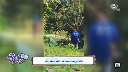 สยบช้างตกมัน ทำร้ายควาญสาหัส