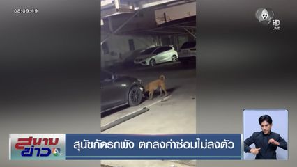 สุนัขกัดรถพัง ตกลงค่าซ่อมไม่ลงตัว