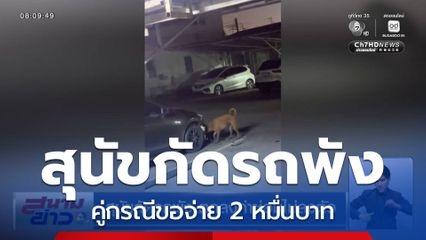 สุนัขกัดรถพัง ตกลงค่าซ่อมไม่ลงตัว