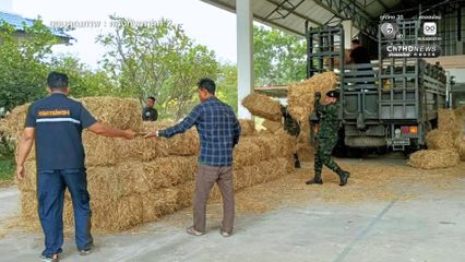 ส่งฟางเลี้ยงสัตว์ ช่วยเหลือเกษตรกรชายแดนไทย- กัมพูชา