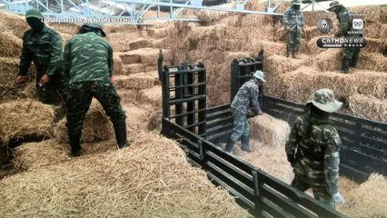 ส่งฟางเลี้ยงสัตว์ ช่วยเหลือเกษตรกรชายแดนไทย- กัมพูชา