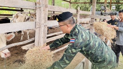 ส่งฟางเลี้ยงสัตว์ ช่วยเหลือเกษตรกรชายแดนไทย- กัมพูชา