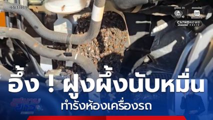 อึ้ง ! ฝูงผึ้งทำรังห้องเครื่องรถ จ.นครราชสีมา