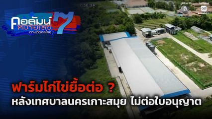คอลัมน์หมายเลข 7 : ฟาร์มไก่ไข่ยื้อต่อ ? หลังเทศบาลนครเกาะสมุย ไม่ต่อใบอนุญาต