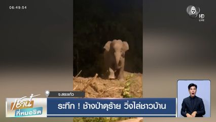 ระทึก ! ช้างป่าดุร้าย วิ่งไล่ชาวบ้าน ใกล้เขตรักษาพันธุ์สัตว์ป่าเขาอ่างฤาไน