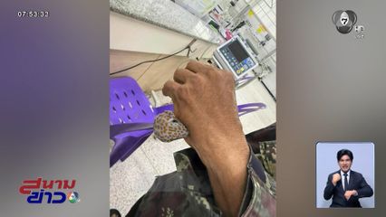 หนึบสมเป็นตุ๊กแก