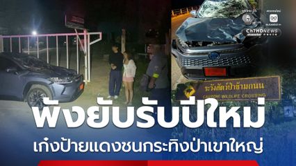 พังยับรับปีใหม่ รถเก๋งป้ายแดงชนกระทิงป่าเขาใหญ่