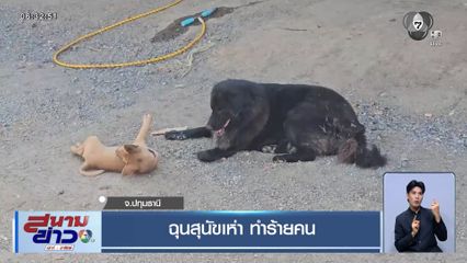 ฉุนสุนัขเห่า ทำร้ายคน