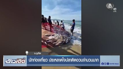 นักท่องเที่ยว ประหลาดใจปลาติดอวนจำนวนมาก