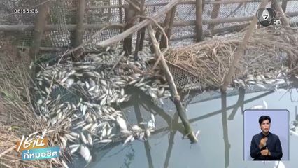 โรงงานปล่อยน้ำเสีย ปลาตายเกลื่อนเต็มคลอง