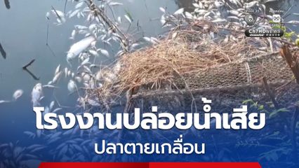 โรงงานแอบปล่อยน้ำเสียลงคลองปลาตายเกลื่อน