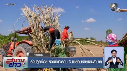 เร่งปลูกอ้อย หวั่นปะทะรอบ 3 เผยคนชายแดนลำบาก จ.บุรีรัมย์