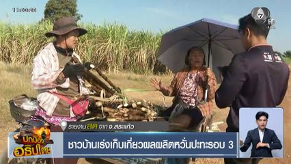 ชาวบ้านเร่งเก็บเกี่ยวผลผลิตหวั่นปะทะรอบ 3