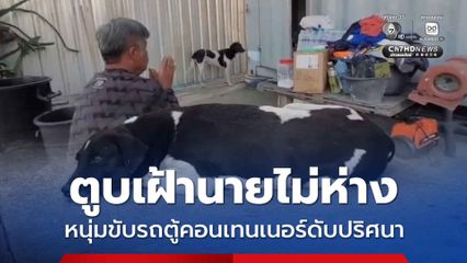 ตูบเฝ้านายไม่ห่าง หนุ่มขับรถตู้คอนเทนเนอร์ตายปริศนาในห้องพัก