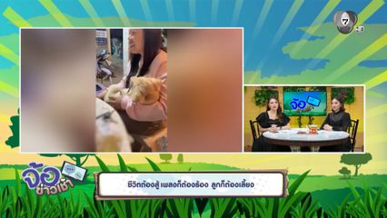 ชีวิตต้องสู้ เพลงก็ต้องร้อง ลูกก็ต้องเลี้ยง