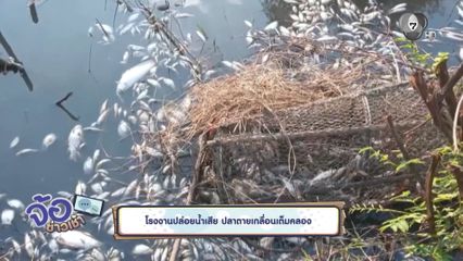 โรงงานปล่อยน้ำเสีย ปลาตายเกลื่อนเต็มคลอง