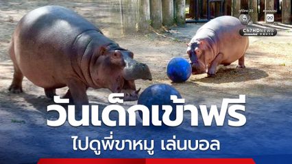 วันเด็กปีนี้ เด็กๆ เข้าชมสวนสัตว์เปิดเขาเขียว ฟรี ชวนไปดู "พี่ขาหมู" โชว์สกิลเลี้ยงบอลทั้งบนบกและในน้ำ