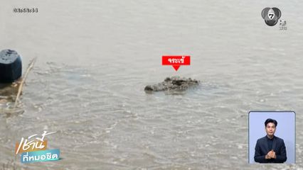 ผวา ! จระเข้ตัวเขื่อง โผล่อ่างเก็บน้ำ จ.บุรีรัมย์