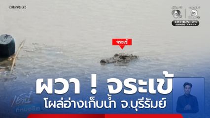 ผวา ! จระเข้ตัวเขื่อง โผล่อ่างเก็บน้ำ จ.บุรีรัมย์