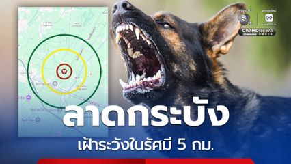 แขวงขุมทอง ลาดกระบัง พบเคสพิษสุนัขบ้า กทม.เตือนเฝ้าระวัง