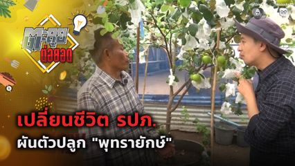 ตะลุยต่อยอด : เปลี่ยนชีวิต รปภ. ผันตัวปลูกพุทรายักษ์