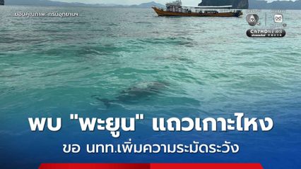 อช.หมู่เกาะลันตา พบ “พะยูน” หากินบริเวณเกาะไหง เตือนนักท่องเที่ยวเพิ่มความระมัดระวัง