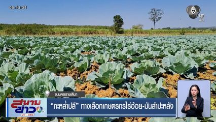 "กะหล่ำปลี" ทางเลือกเกษตรกรไร่อ้อย-มันสำปะหลัง