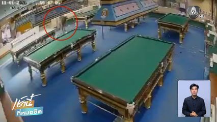 ควายหนีตาย เข้าร้านสนุกเกอร์ จ.เชียงใหม่