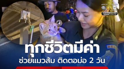 กู้ภัยขึ้นรถกระเช้า ช่วยแมวส้ม ติดอยู่บนเสาตอม่อ สะพานข้ามแยกสูงกว่า 10 เมตร