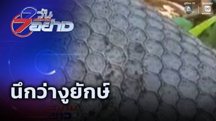 7 วัน 7 อย่าง : ใจหายใจคว่ำ นึกว่างูยักษ์