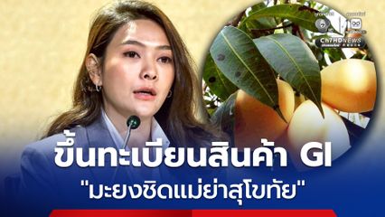ขึ้นทะเบียนสินค้า GI “มะยงชิดแม่ย่าสุโขทัย” คาดจะช่วยสร้างชื่อเสียง สร้างมูลค่ารวมได้กว่า 1,916 ล้านบาท
